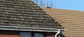 Gutter and roof cleaning in Reigate and Oxted